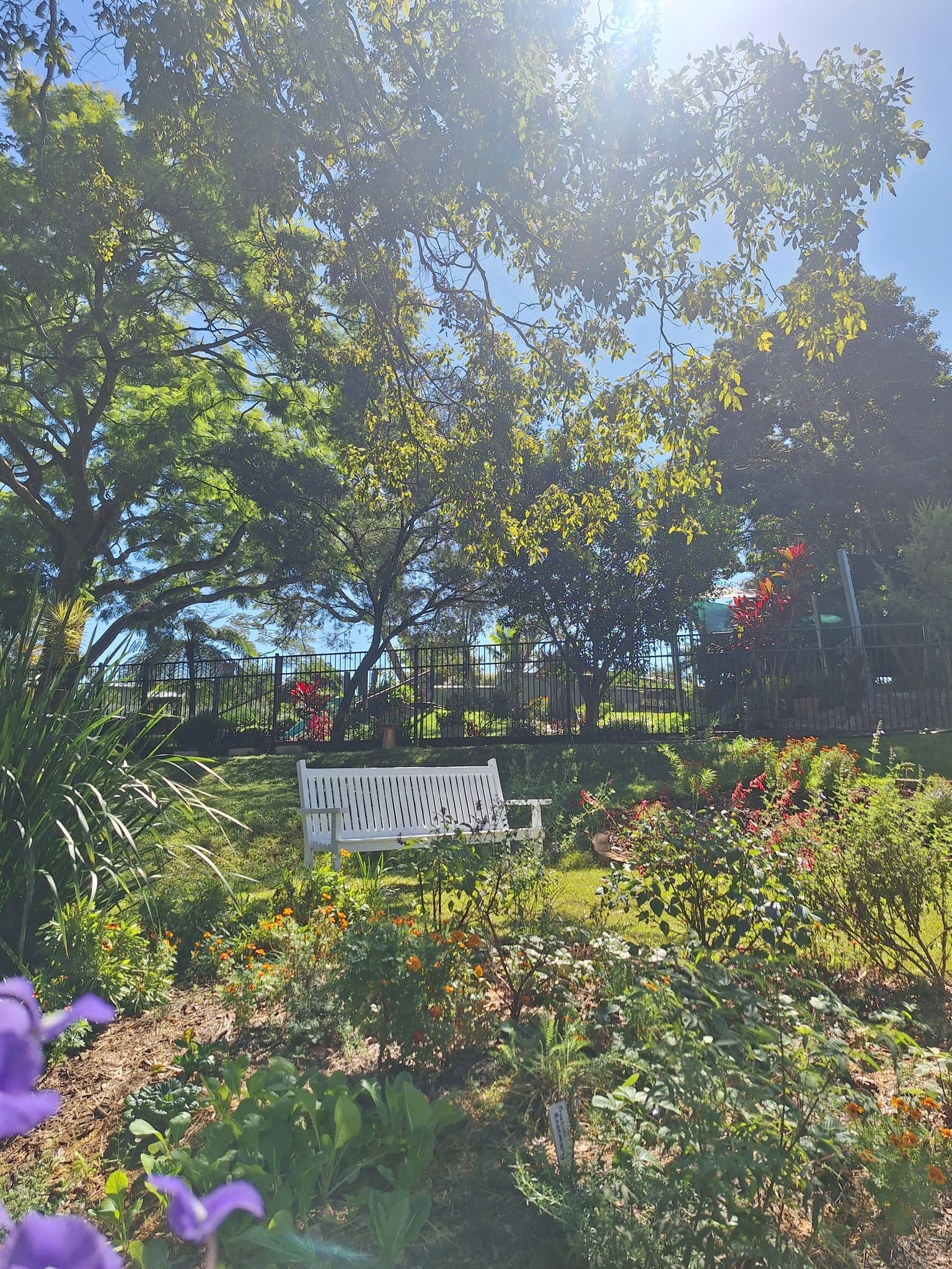 Locals gardening