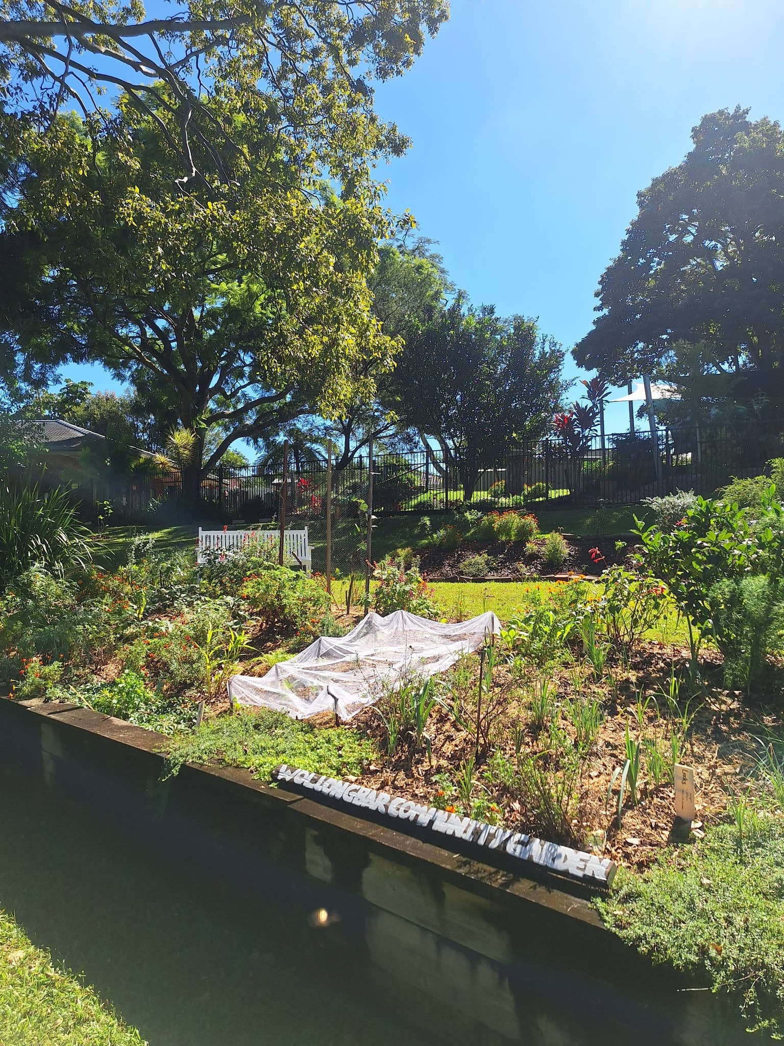 Garden beds